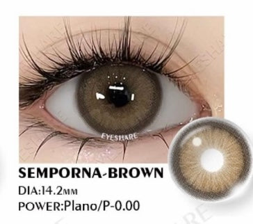 Lentilles de couleur - SEMPORNA MARRON - Valable 1 an